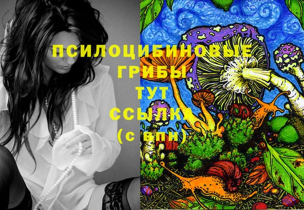 прущие крисы Заводоуковск