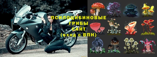прущие крисы Заводоуковск