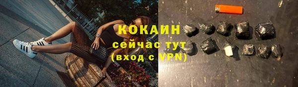 прущие крисы Заводоуковск