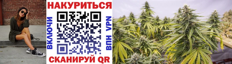 Бошки марихуана планчик  Купить закладки  Калач 